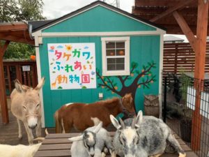 壁面アート　タケガワふれあい動物園　タケガワ塗装　松阪市