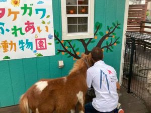 壁面アート　タケガワふれあい動物園　タケガワ塗装　松阪市