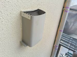 コウモリ対策１